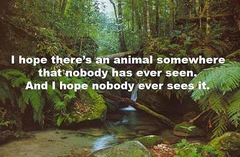 animal