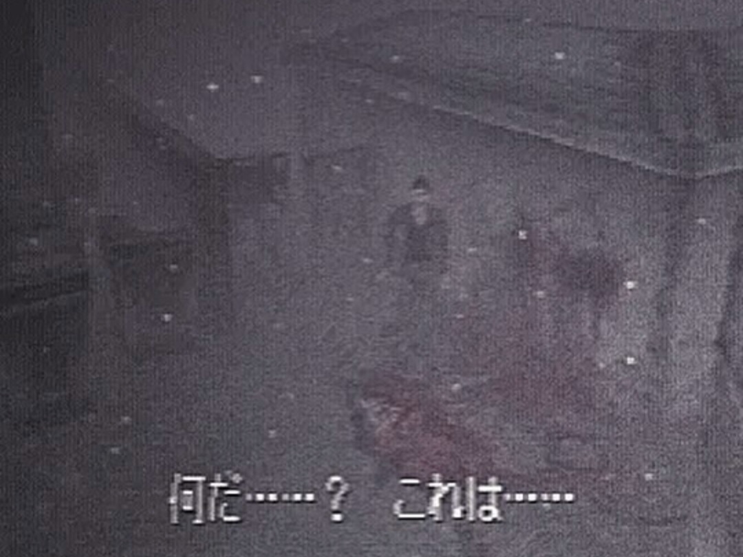 sh1