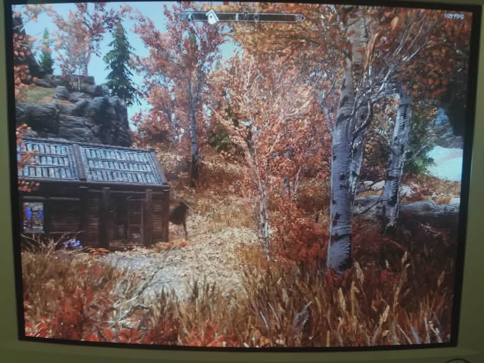 skyrim crt